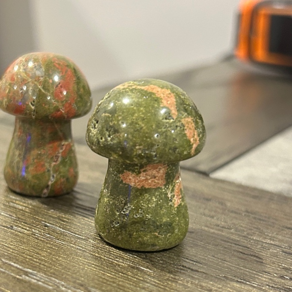 Unakite Green and Pink Mushroom Crystal - priced per mushroom